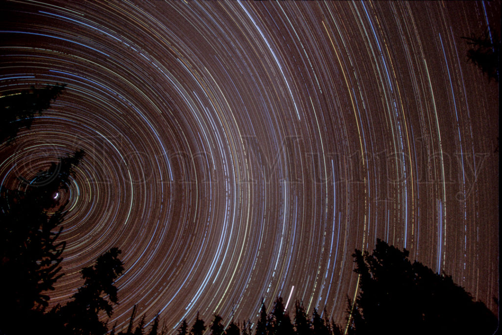 Star Tracks Trees – Tom Murphy Photography