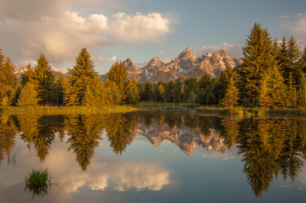 Tetons Sunrise Schwabachers Landing – Tom Murphy Photography